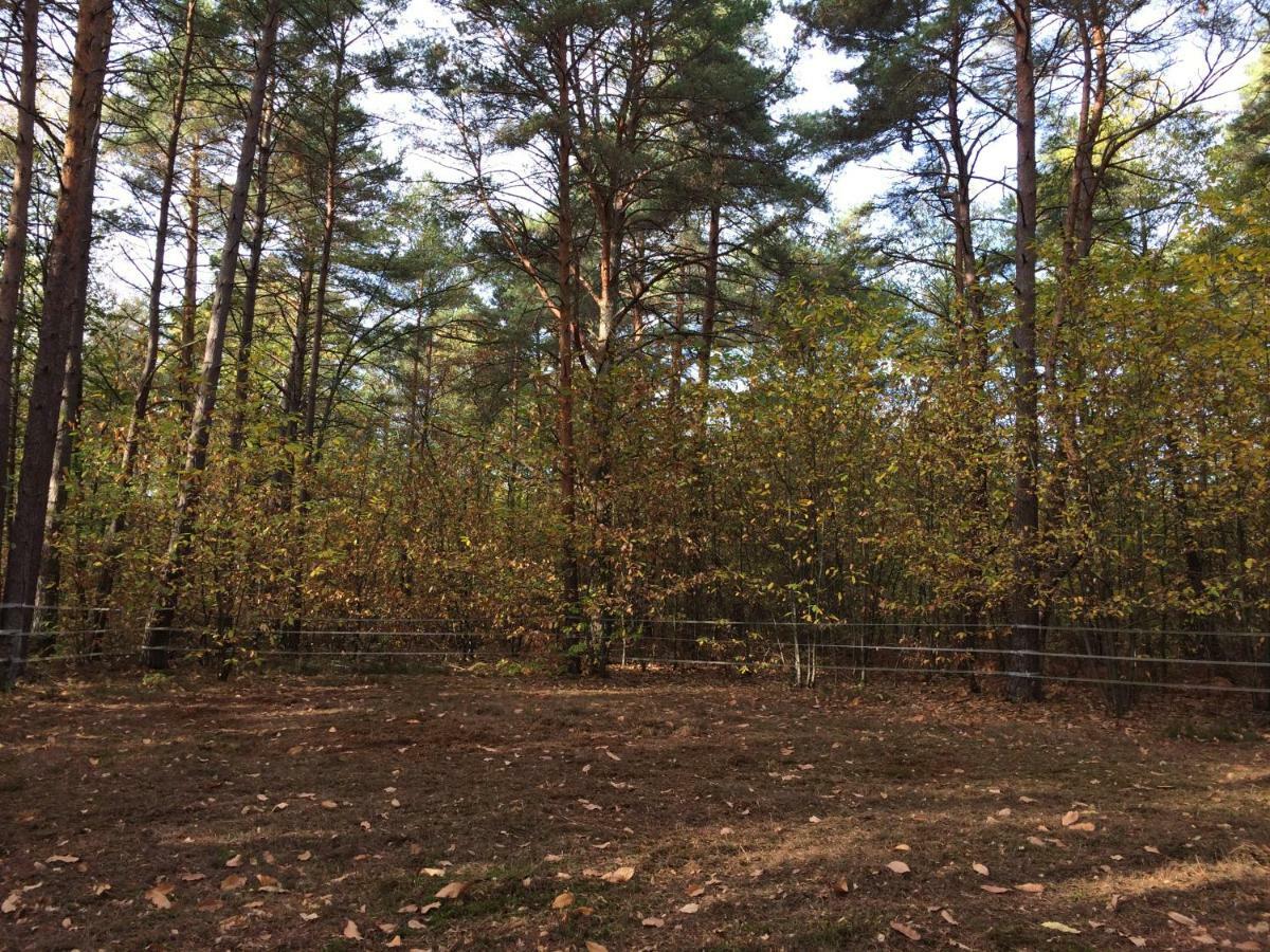 chambre à la campagne Chaumont-sur-Tharonne Esterno foto